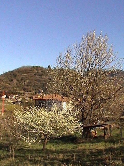 B&B La Pinara Trento Esterno foto
