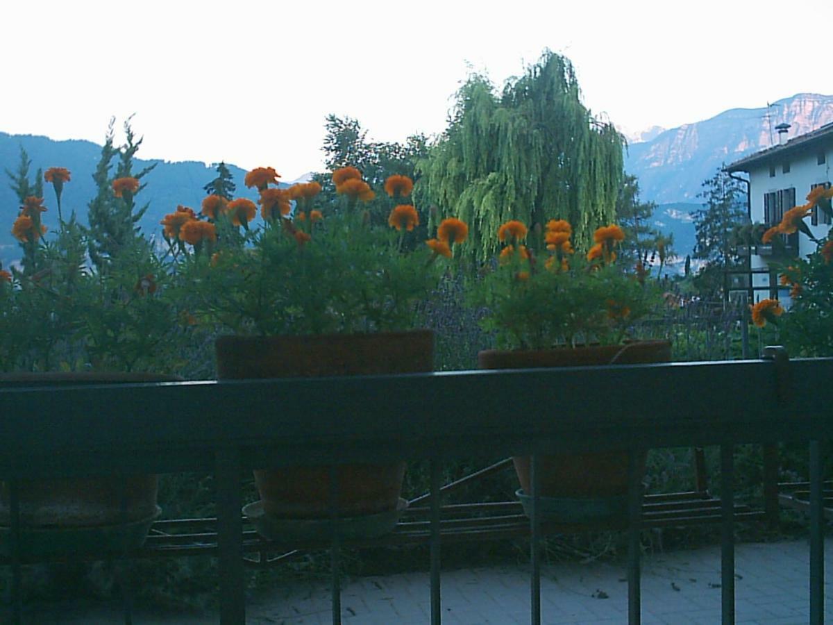 B&B La Pinara Trento Esterno foto
